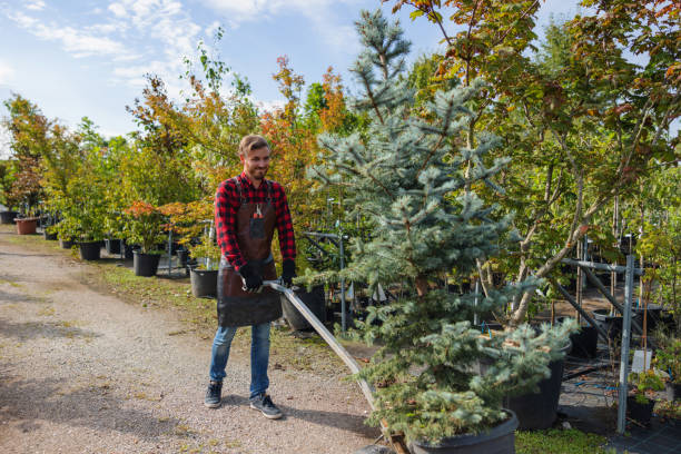 Best Commercial Tree Services  in Orosi, CA